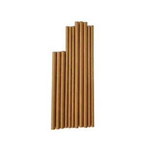 Canudo de Papel Kraft